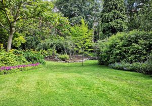 Optimiser l'expérience du jardin à Chezelles